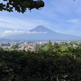 神社入口から富士山。外人さんしかいない