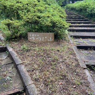 つつじ山頂上