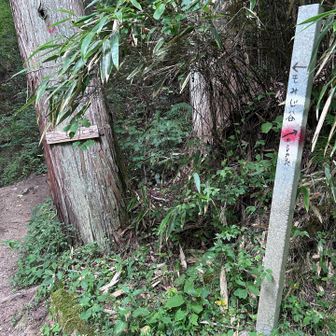入り口。入ってすぐ沢を渡る。