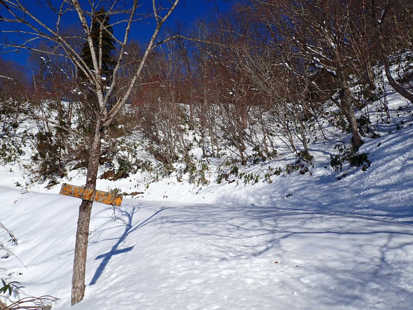 戻ってきました