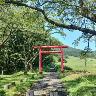 駐車場から最初の鳥居
登山道はこの奥の鳥居から