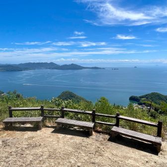 8号目？あたりの登山道ベンチに着きました✨
今回は暑いし、スニーカーなのでここで引き返します😅
