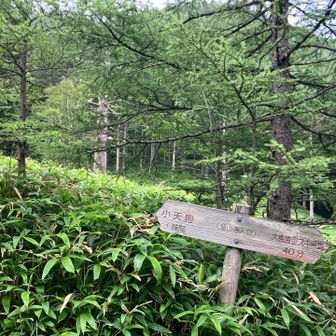 県界尾根ルートの登山口
あとは基本ロード、体感めちゃ長い
