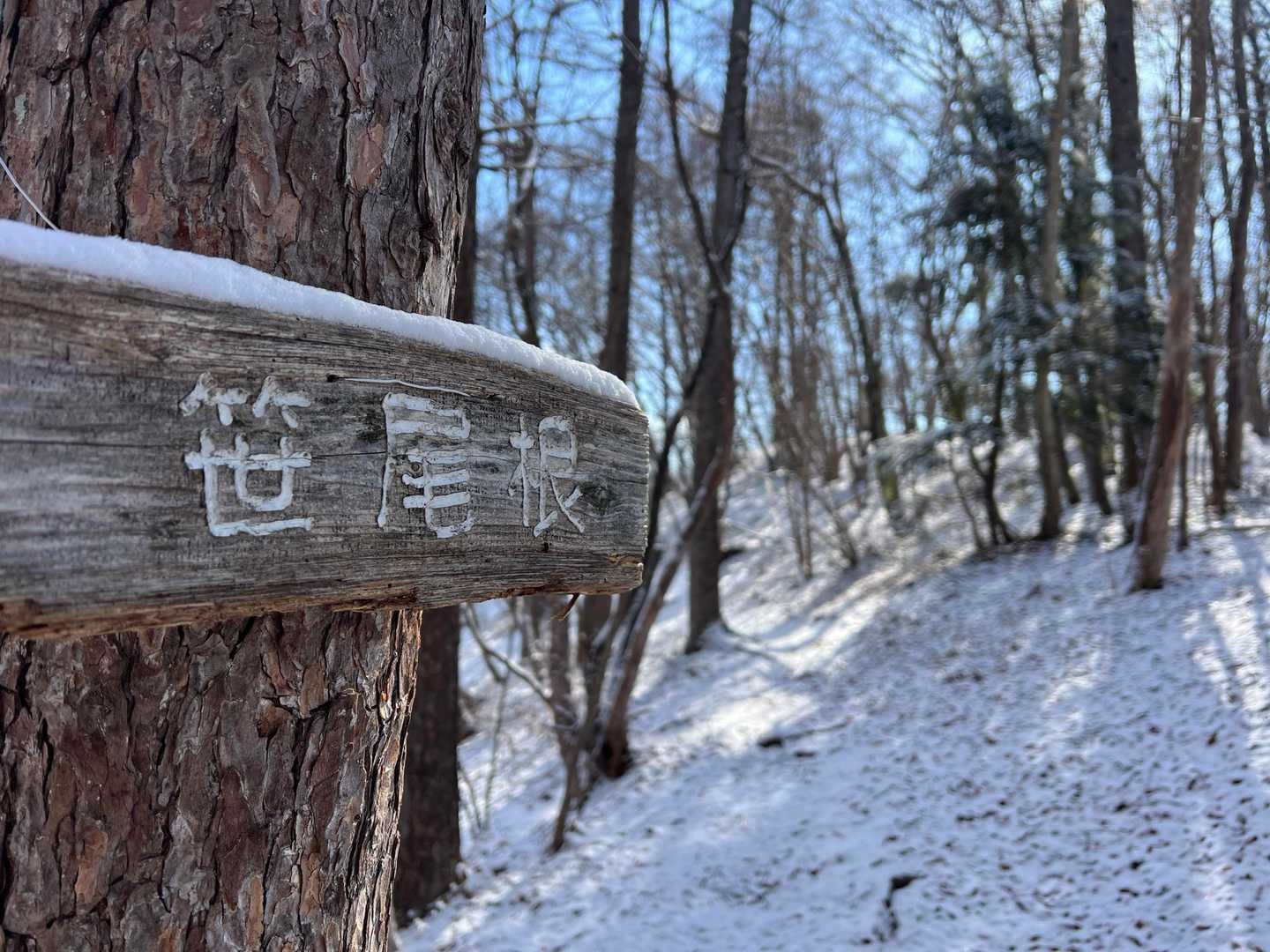 笹尾根を歩きます