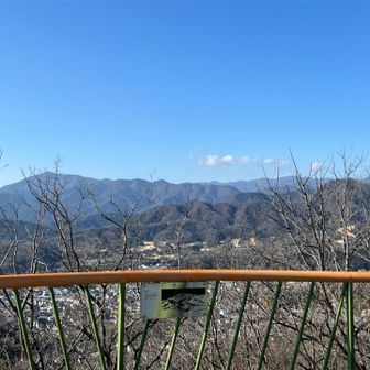 なんとか撮った一枚