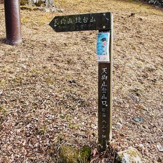 神社の入り口にある天狗山、鏡台山の登山口です。
まだ登ったことのない山です。

妻に少しだけと言って時間をもらったのですが、改めてYAMAPを見ると、少しでは無理そうだったので諦めました。
ちなみに現在、196座です。200座目はしっかりと狙います！