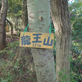 龍王山、登頂