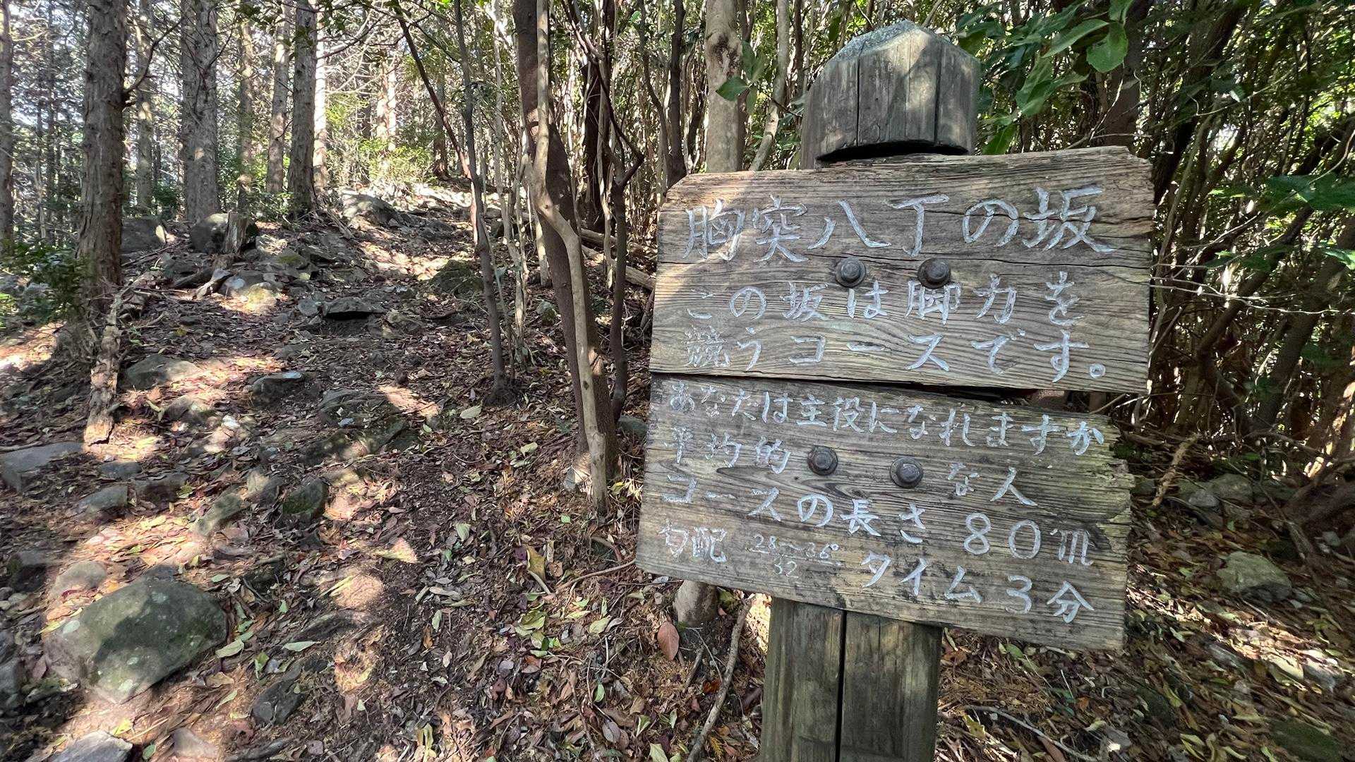 登り掛け撮り忘れ3分は行けたと思う…