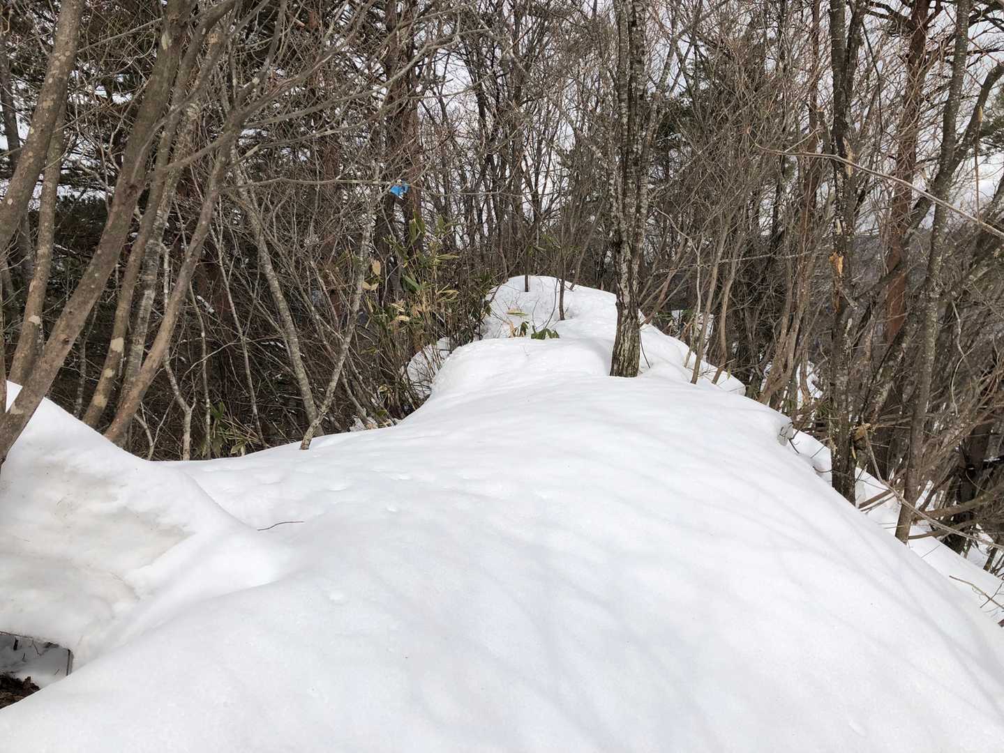 やっと山頂に到着😆なんにもない