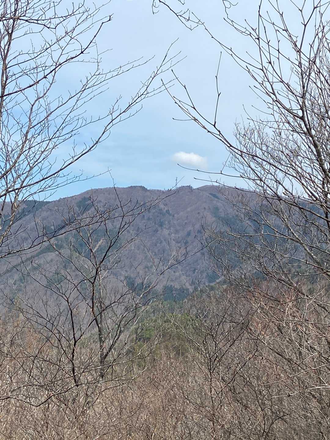 長老ヶ岳が近くに見えています👀