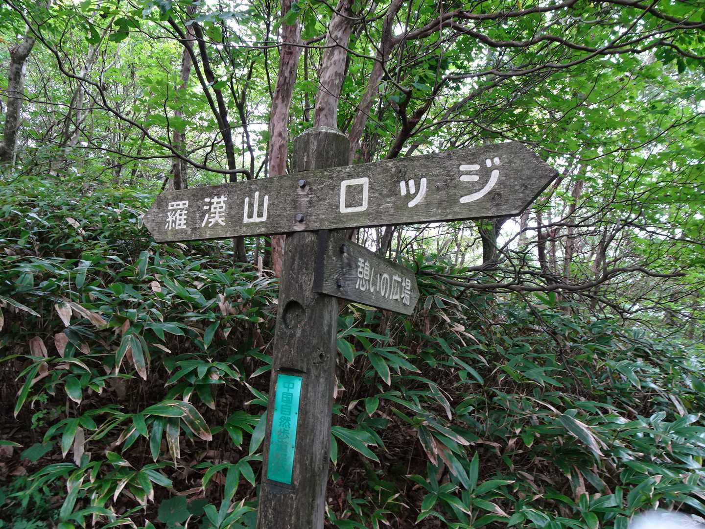「憩いの広場」へ行ける分岐ですが、私の胸の高さまで笹が生い茂っていて道が見えません。先ほどの東屋まで戻って下山する道をお勧めします。