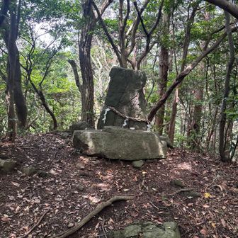 YAMAPでは、ここが山頂。
手前のベンチにも、過ぎたベンチにも
大きな砥神山の看板があり
間違えそう。