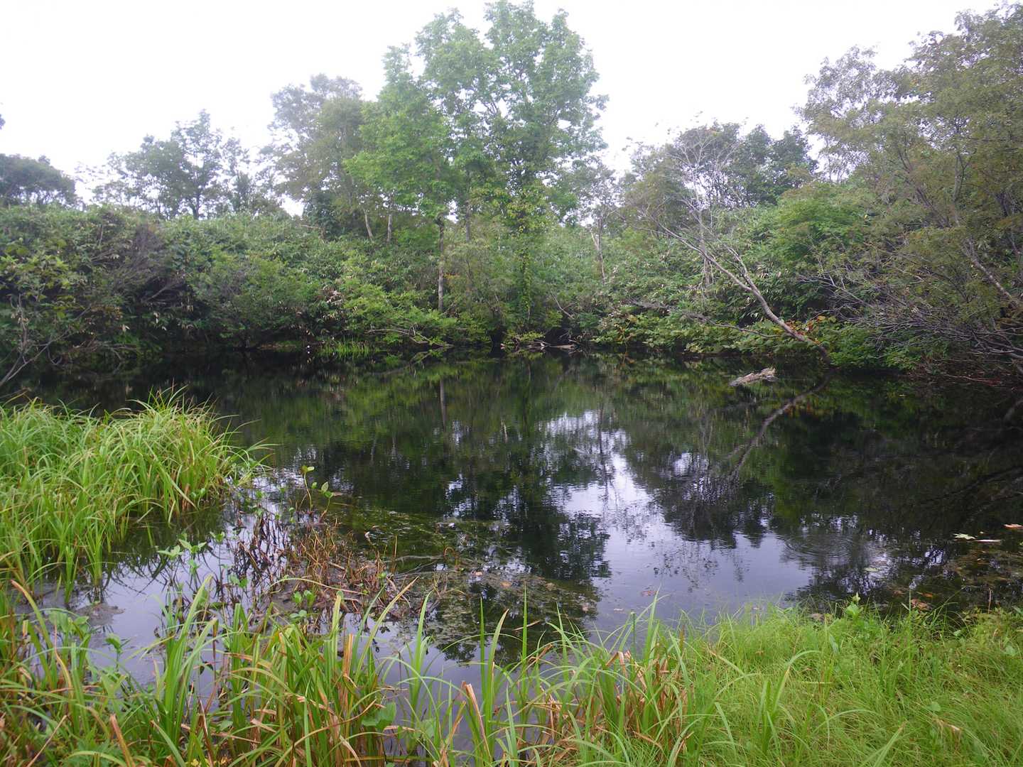 小沼の全景