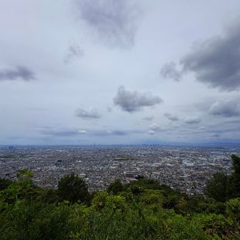 大阪が一望できる😊✨