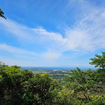 正面は相模湾