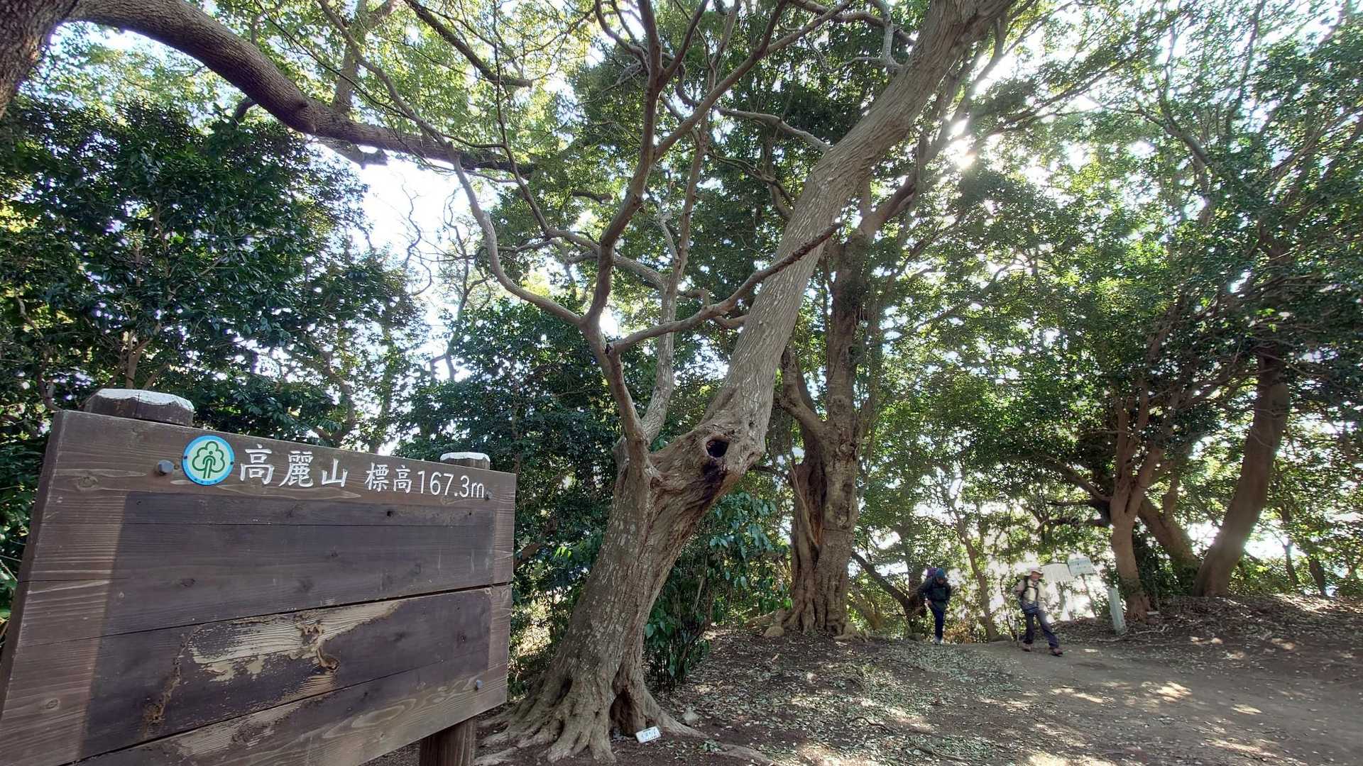 高麗山 こまやま

後ろのは鹿に見えた木
今日はおばけに見えた👻