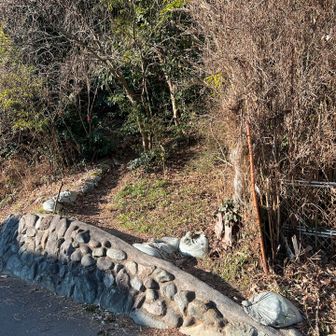 ここからスタート🥾