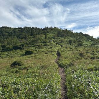 この道をズッーと登ります