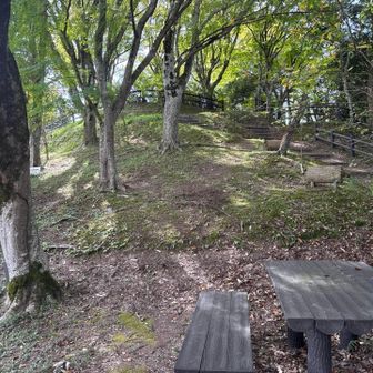 ささやま荘横の高台へ