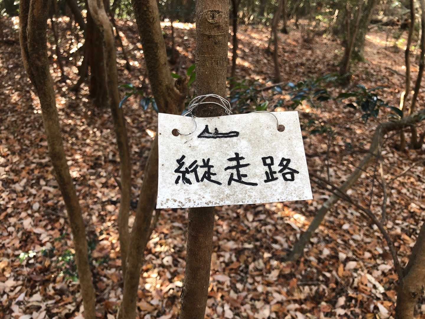 縦走路で下りまーす