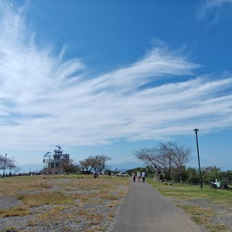 湘南平の山頂域に