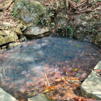 不老不死の泉🩵
今日は水量が多そうです😊
でも、誰も飲みません🤣