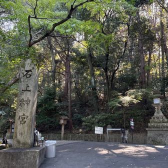 ひんやりした空気　心が洗われる