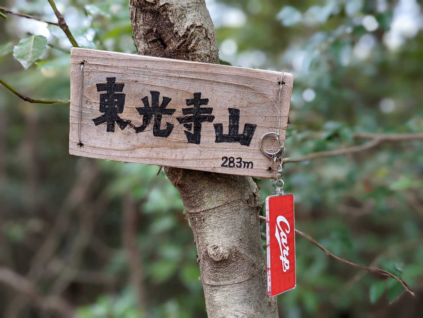 可愛い感じの標識