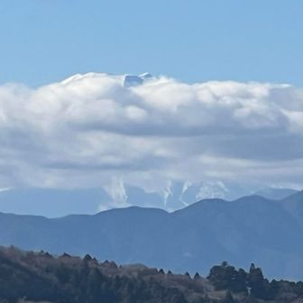 先っちょだけ見えた