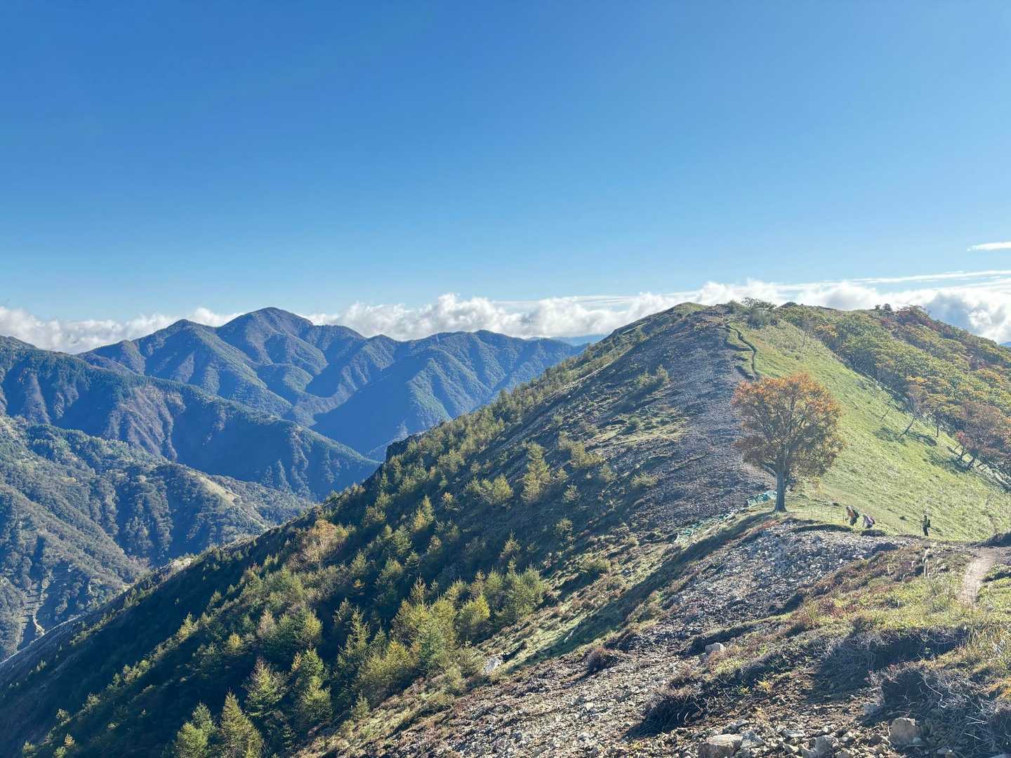 公園入口バス停-中倉山登山口-中倉山-沢入山-オロ山 周回コースの写真
