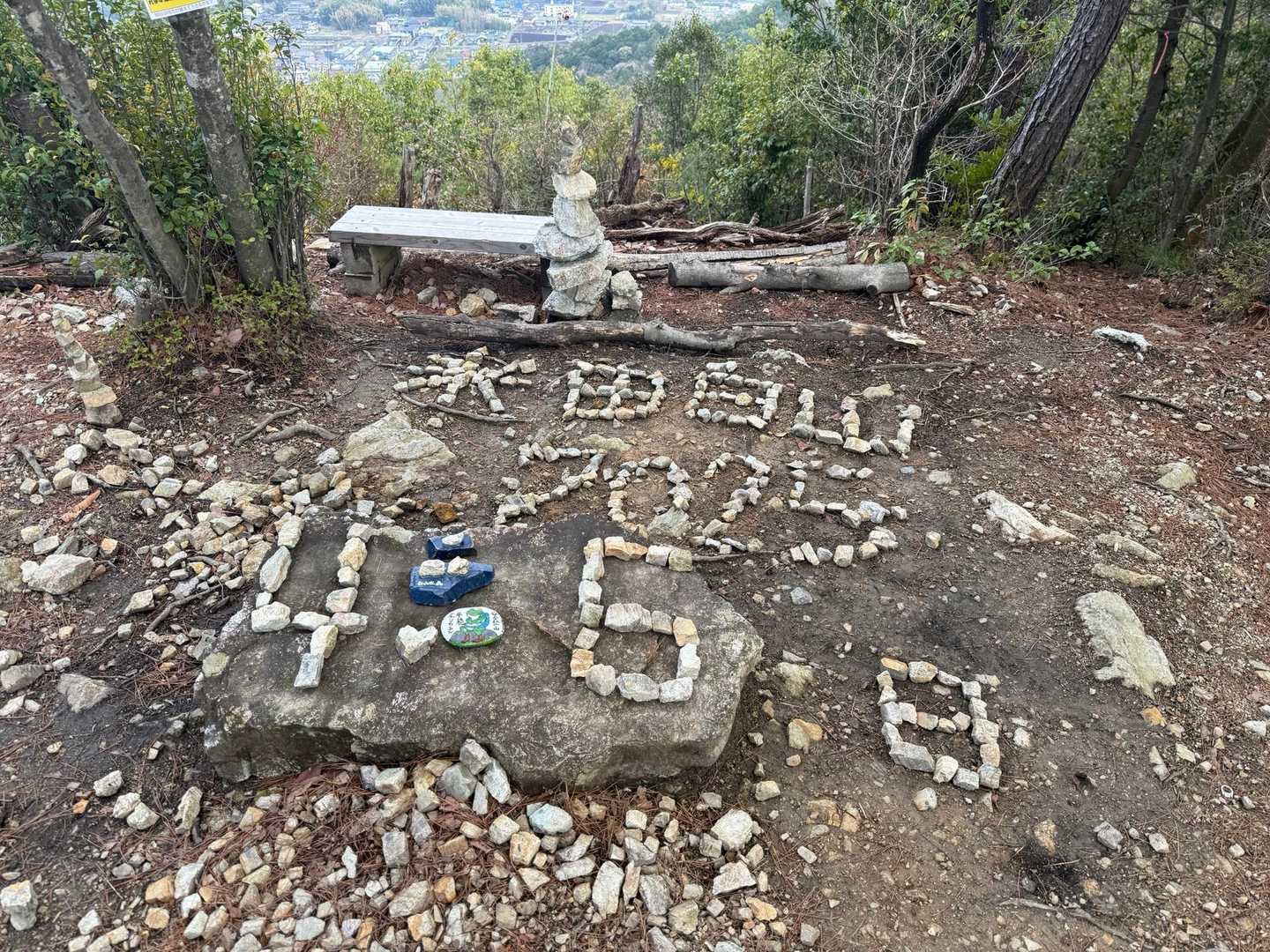 撮影に必死でやっと山頂
