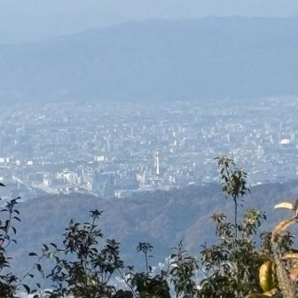 京都タワーー👀