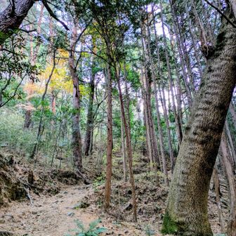 リラックスで登れます