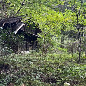 熊より廃墟が怖い😱