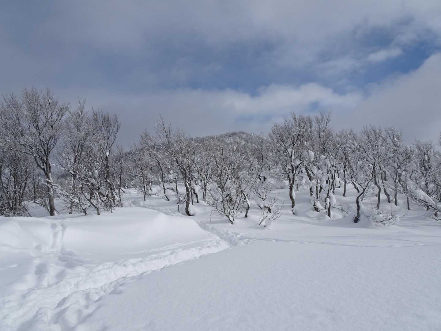 山頂見えた！👀❗
