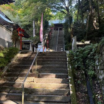 その後に待つこの階段！
🤡の試練は続きますw(ちゃんと楽しんでます)
