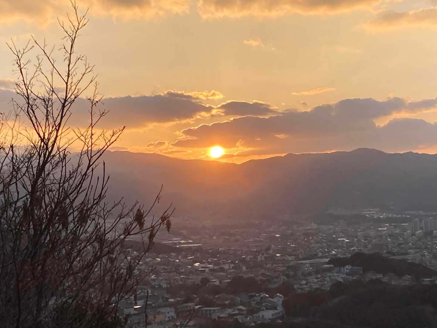 いい感じです✨
