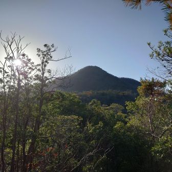 船見平からの鞍掛山がかっこよくて思わずパチリ