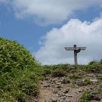 最後の方は木がなくなります