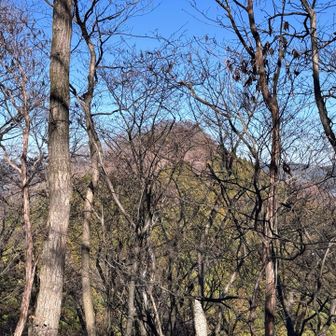 これから伊豆ヶ岳を目指す