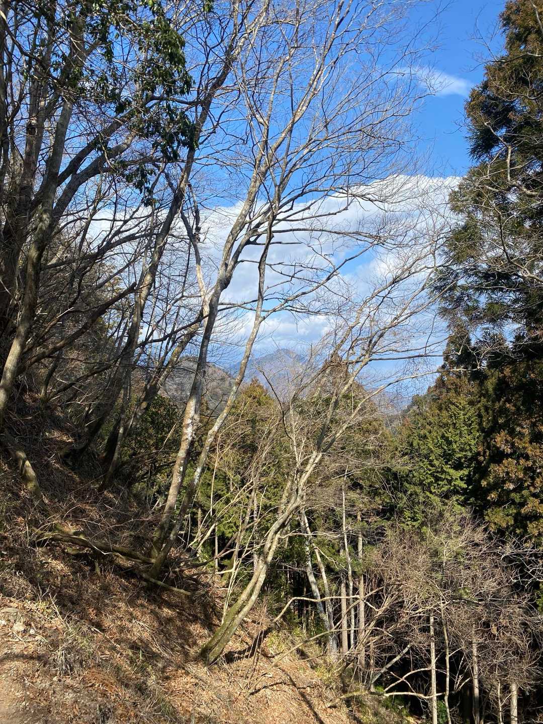 真ん中に映ってる山は篠井山。山梨百名山だそう。