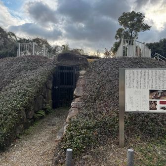 古墳

戻ってきたら上に登ろうと思って忘れた〜😂