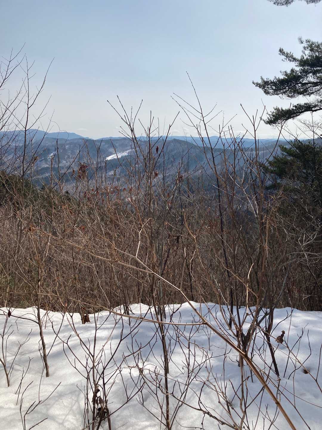 山頂から