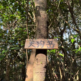 このプレートも蒲鉾板か？
平戸は蒲鉾有名だからプレートみんな蒲鉾板に思える😄