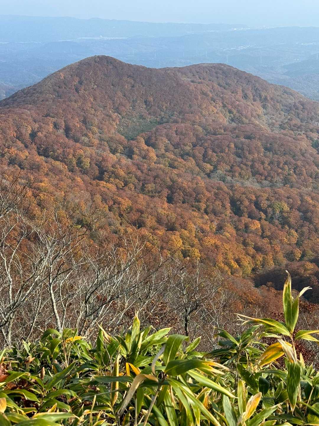 赤倉岳