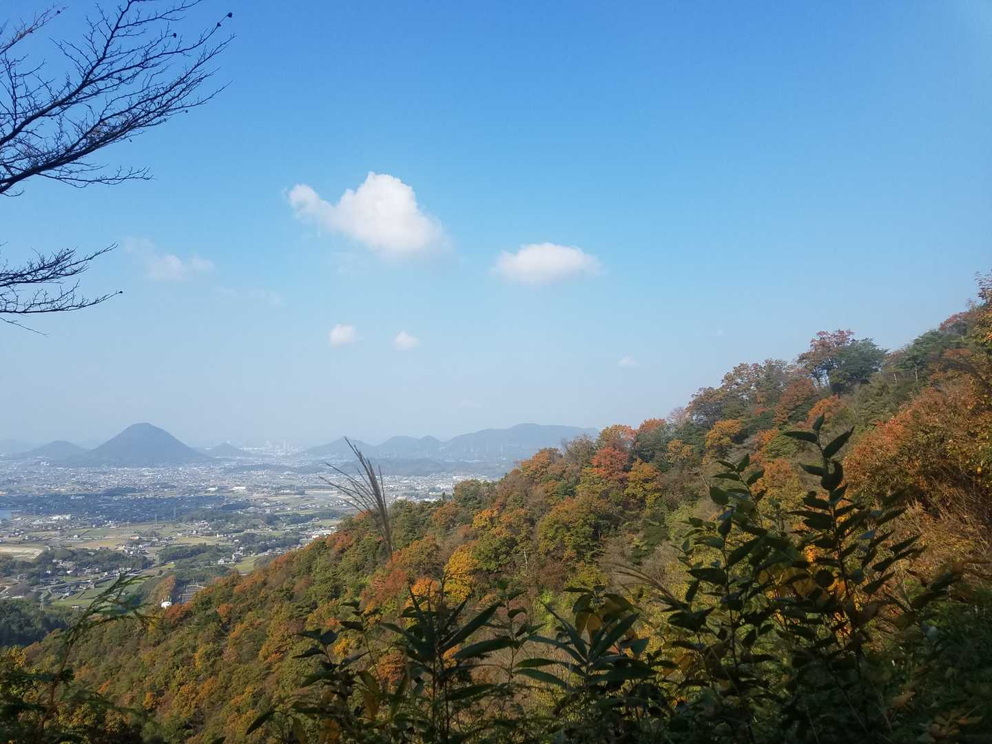 紅葉が綺麗すぎる！