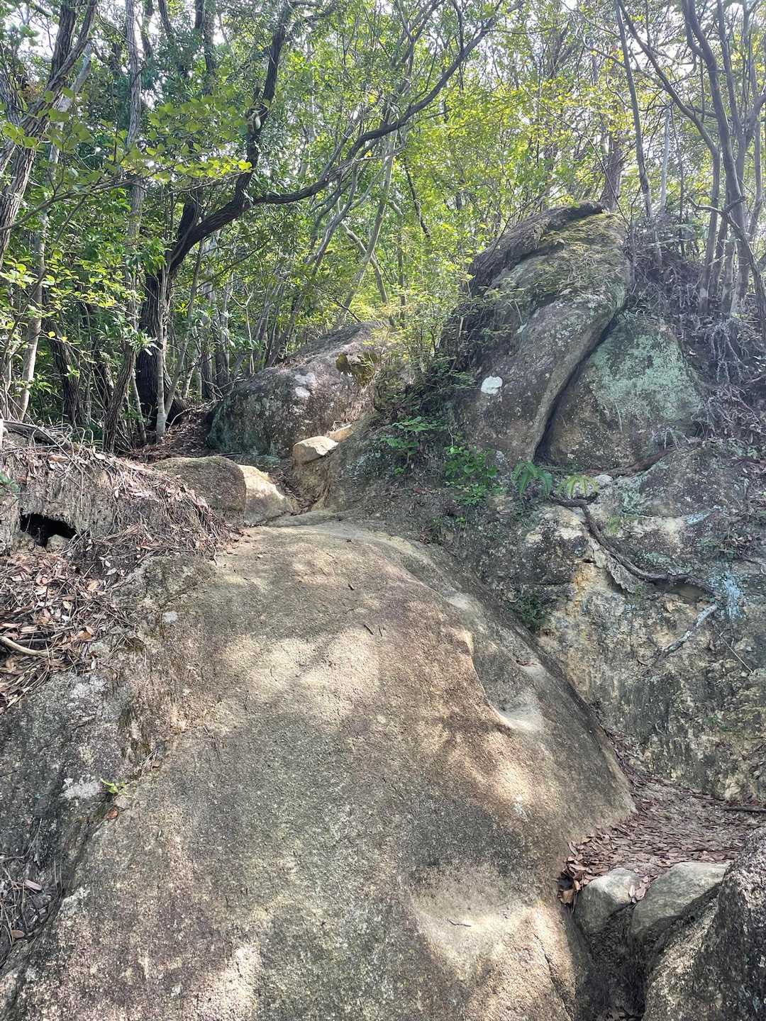 奇絶峡-高尾山 往復コースの写真