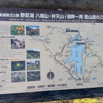 野反湖一周したいですが、時間がないのでお預け。