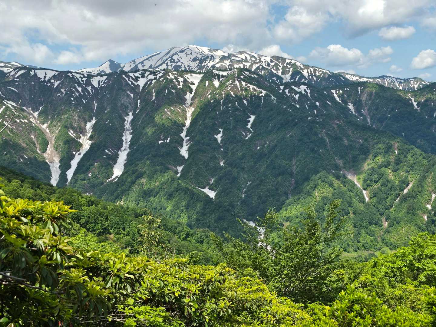 倉手山 往復コースの写真
