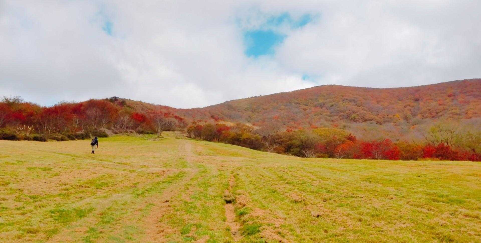 真っ赤だなっ🍁